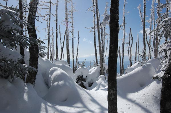 �ǂݍ��ݒ����